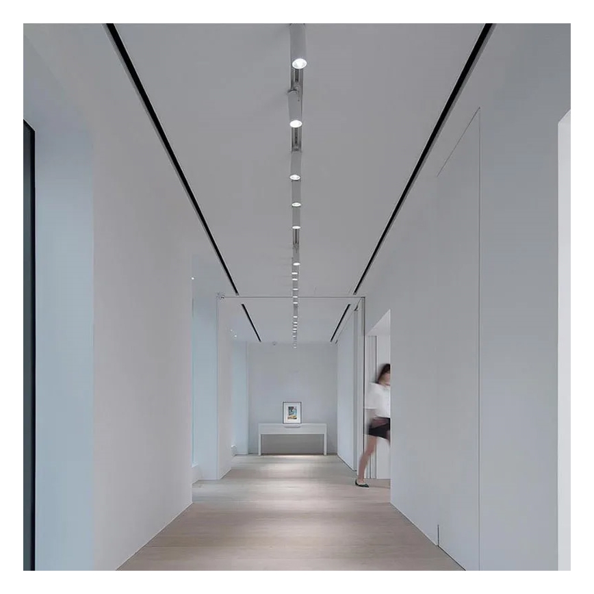 Spotlámpa 1-fázisú sínrendszerhez, 1xGU10/10W/230V, fehér