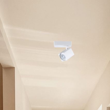 Spotlámpa 1xGU10/7W/230V fehér