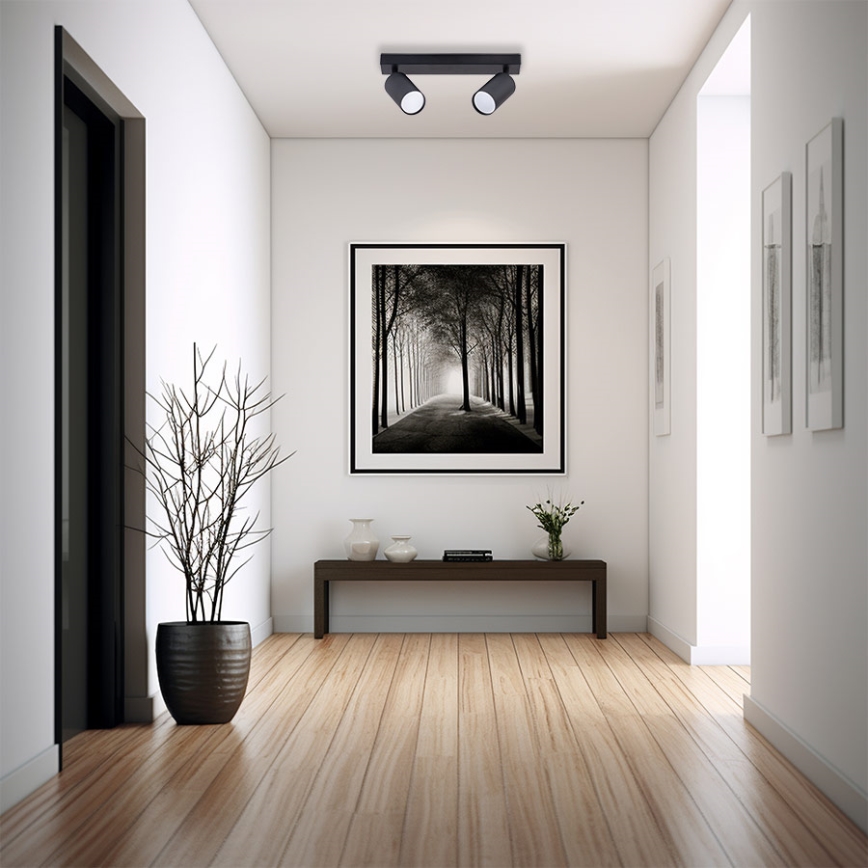 Spotlámpa 2xGU10/35W/230V fekete