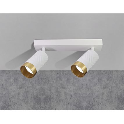 Spotlámpa ARRAS 2xGU10/10W/230V fehér