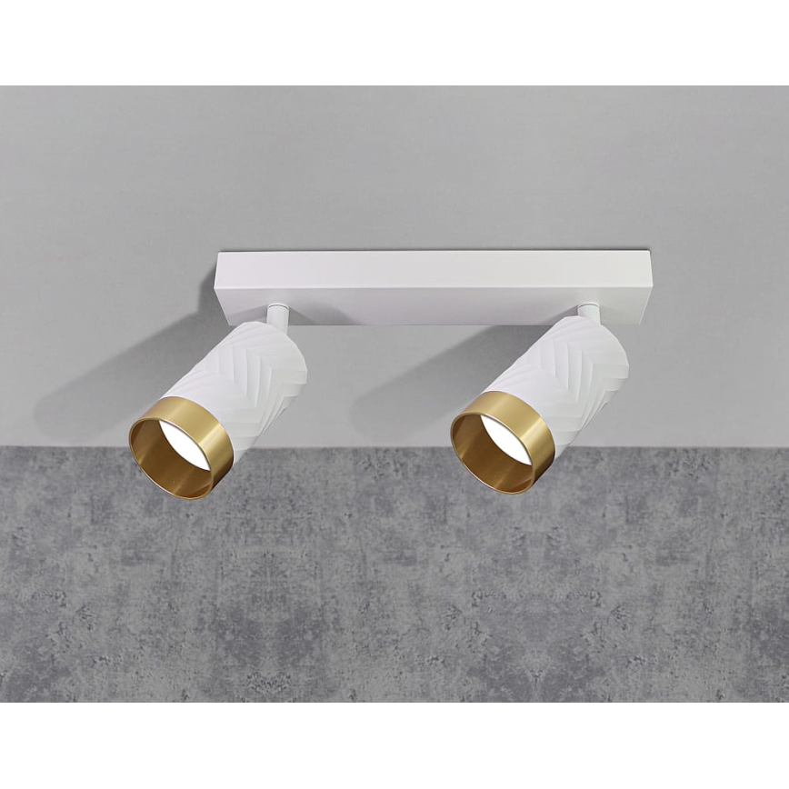 Spotlámpa ARRAS 2xGU10/10W/230V fehér