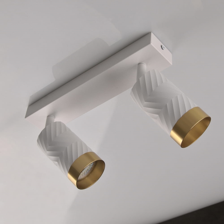 Spotlámpa ARRAS 2xGU10/10W/230V fehér