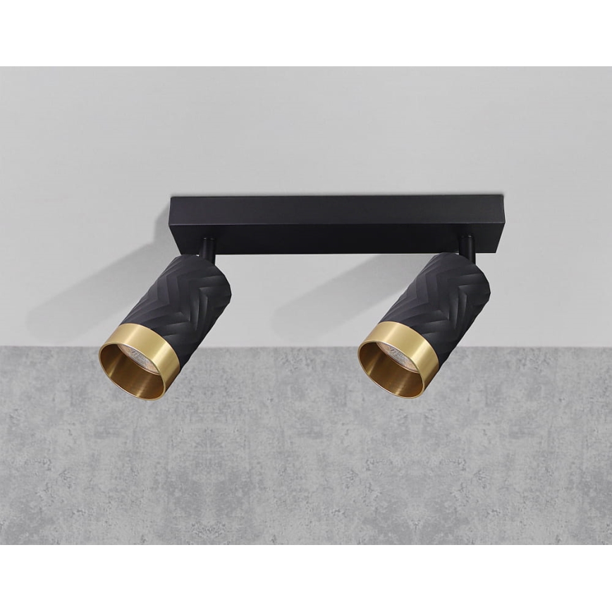 Spotlámpa ARRAS 2xGU10/10W/230V fekete