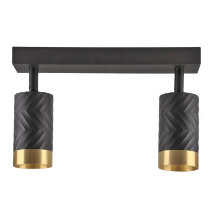 Spotlámpa ARRAS 2xGU10/10W/230V fekete