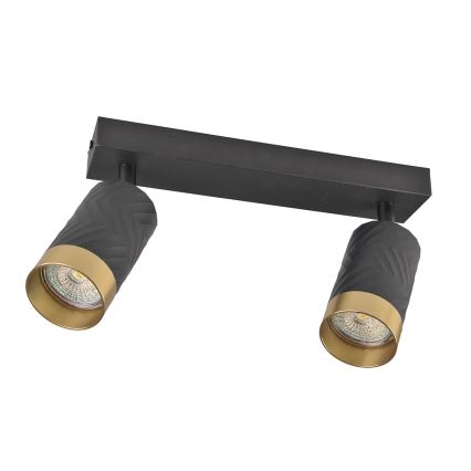 Spotlámpa ARRAS 2xGU10/10W/230V fekete