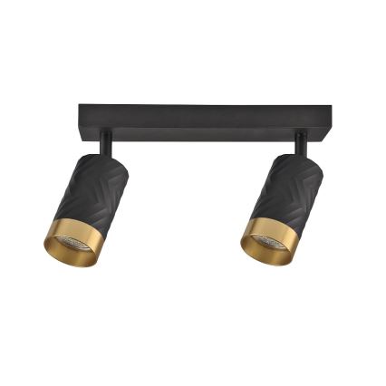 Spotlámpa ARRAS 2xGU10/10W/230V fekete