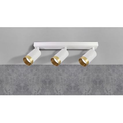 Spotlámpa ARRAS 3xGU10/10W/230V fehér