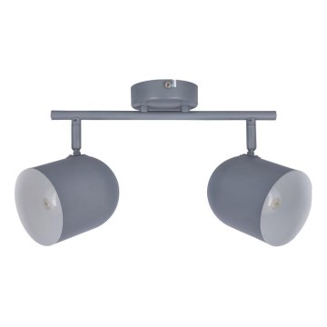 Spotlámpa AZURO 2xE27/40W/230V