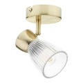 Spotlámpa BEST 1xE14/40W/230V arany