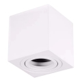 Spotlámpa BIMA 1xGU10/25W/230V négyzetes fehér
