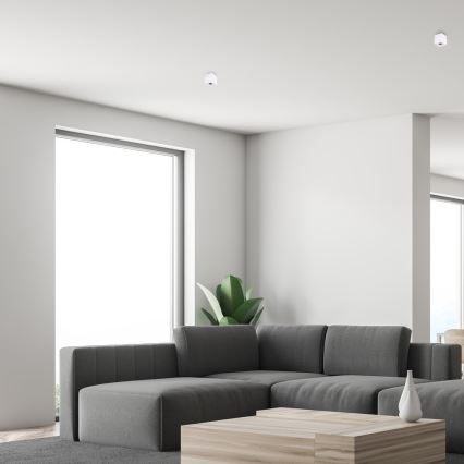 Spotlámpa BIMA 1xGU10/25W/230V négyzetes fehér