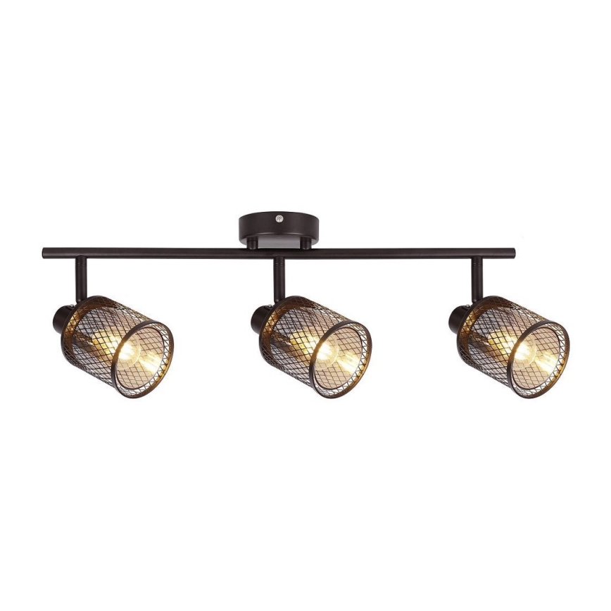 Spotlámpa CANABERA 3xE14/40W/230V