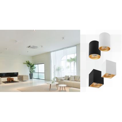 Spotlámpa CHLOE 1xGU10/50W/230V szögletes fehér