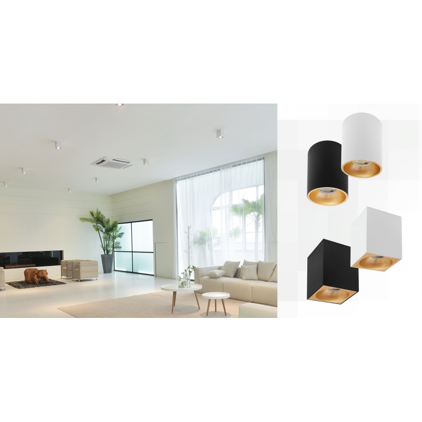 Spotlámpa CHLOE 1xGU10/50W/230V szögletes fehér