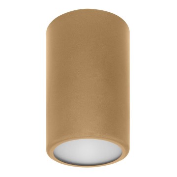 Spotlámpa CLEO 1xE27/24W/230V arany