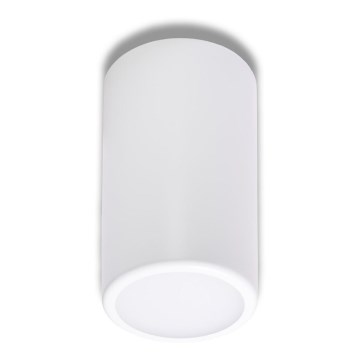 Spotlámpa CLEO 1xE27/24W/230V fehér