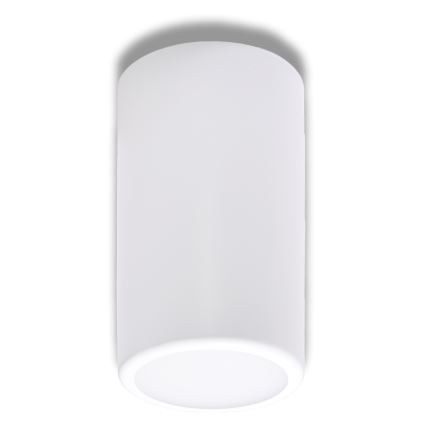 Spotlámpa CLEO 1xE27/24W/230V fehér