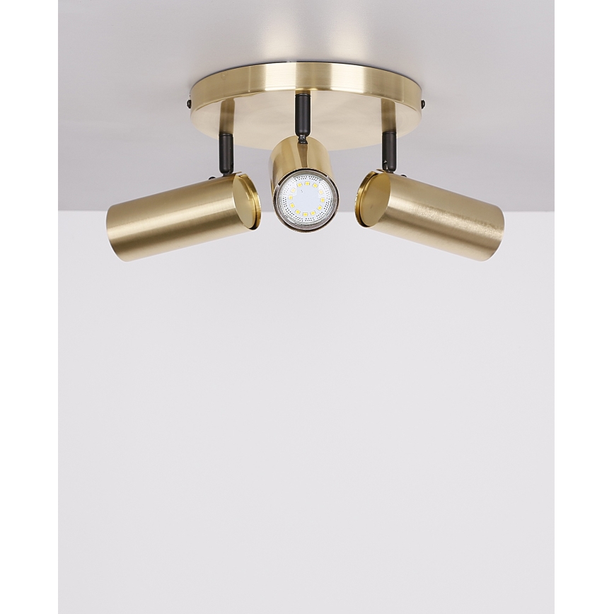 spotlámpa COLLY 3xGU10/15W/230V arany