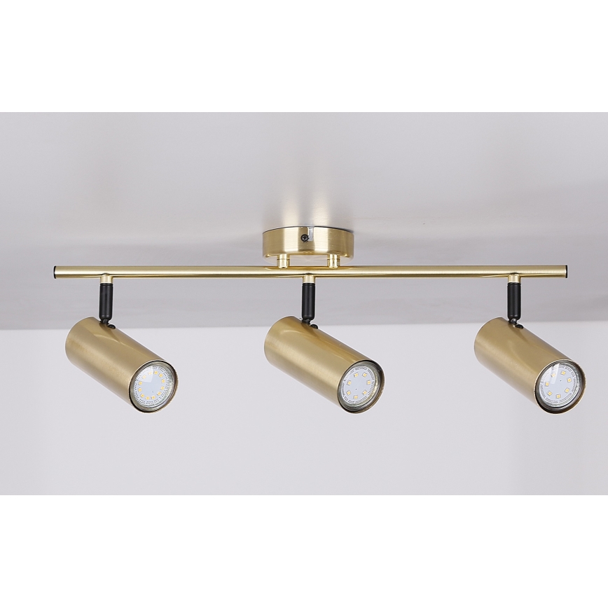 spotlámpa COLLY 3xGU10/15W/230V arany