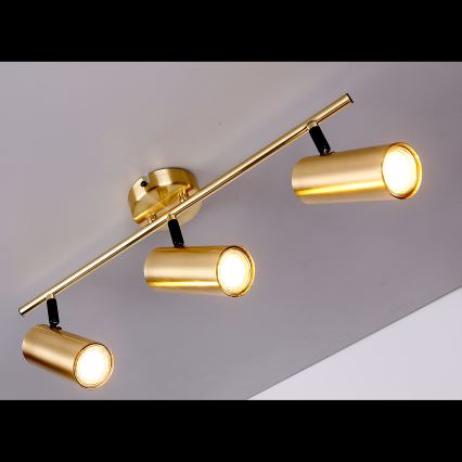 spotlámpa COLLY 3xGU10/15W/230V arany