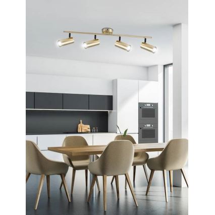 spotlámpa COLLY 4xGU10/15W/230V arany