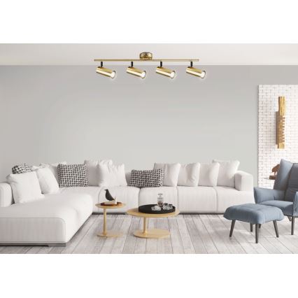 spotlámpa COLLY 4xGU10/15W/230V arany