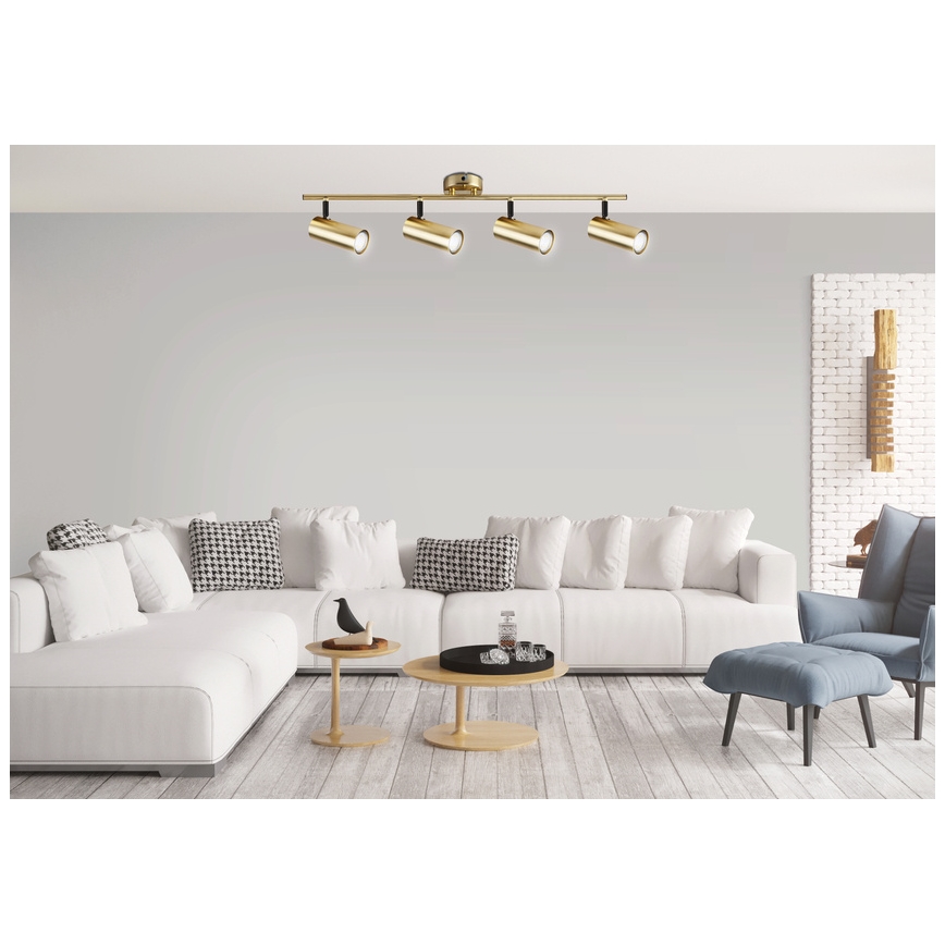 spotlámpa COLLY 4xGU10/15W/230V arany