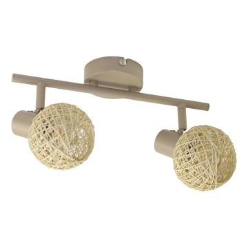 Spotlámpa DEX 2xE14/10W/230V bézs/krém