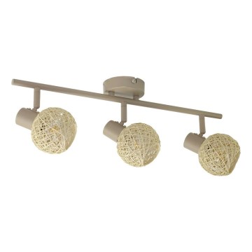 Spotlámpa DEX 3xE14/10W/230V bézs/krém