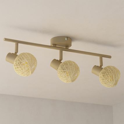 Spotlámpa DEX 3xE14/10W/230V bézs/krém
