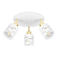 Spotlámpa ELEN 3xE27/35W/230V fehér/arany