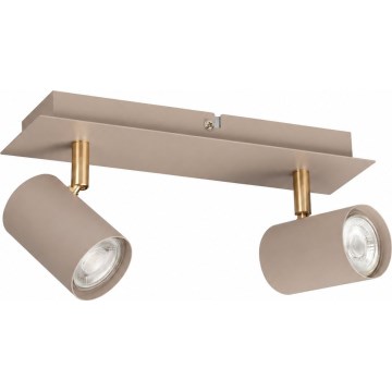 Spotlámpa EVALO 2xGU10/10W/230V bézs/arany
