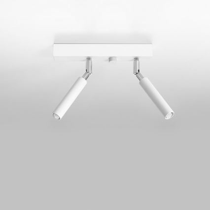 Spotlámpa EYETECH 2xG9/12W/230V fehér