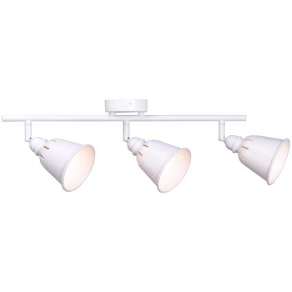 Spotlámpa FIONA 3xE14/8W/230V