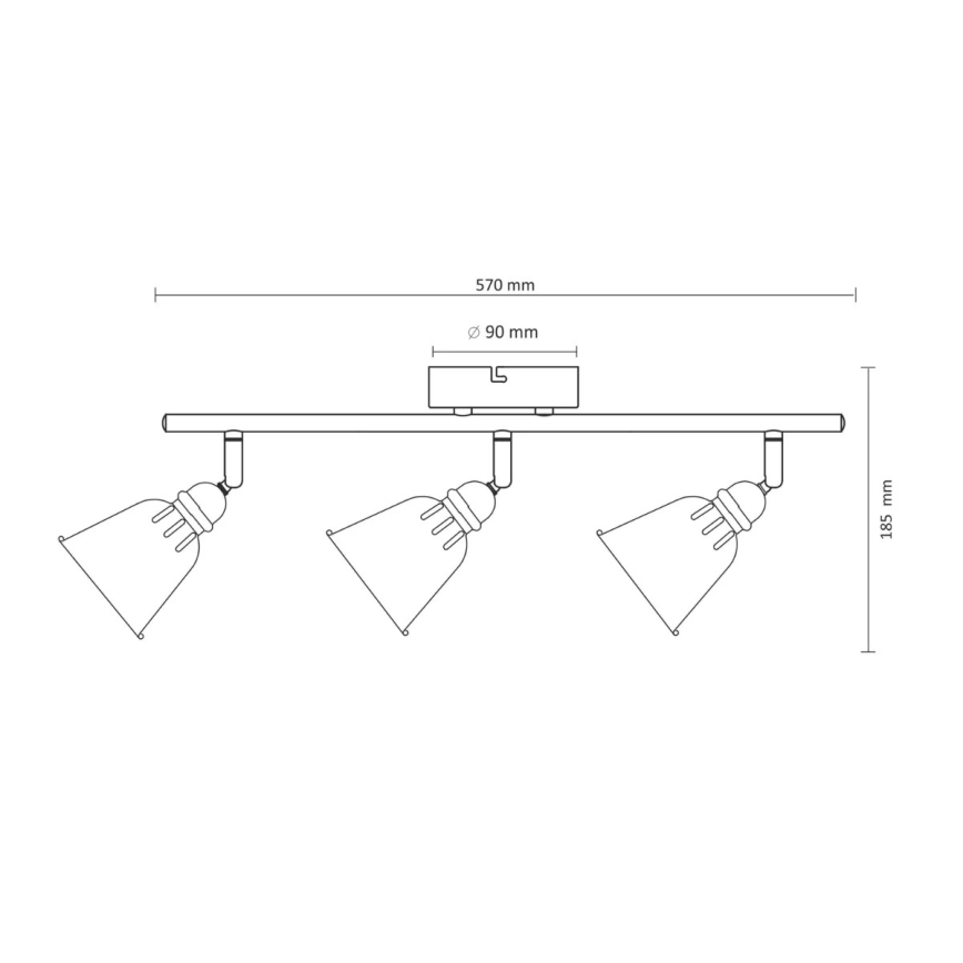 Spotlámpa FIONA 3xE14/8W/230V