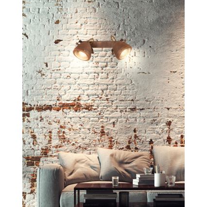 Spotlámpa FRODO 2xGU10/40W/230V