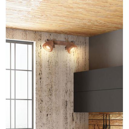 Spotlámpa FRODO 2xGU10/40W/230V