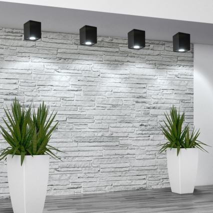 Spotlámpa HADAR Q1 1xGU10/10W/230V fekete