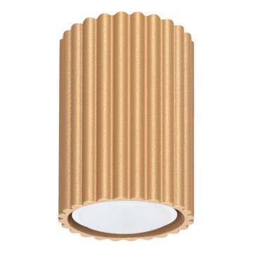 Spotlámpa KARBON 1xGU10/10W/230V 10 cm arany