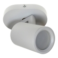 Spotlámpa KINIA 1xGU10/30W/230V fehér