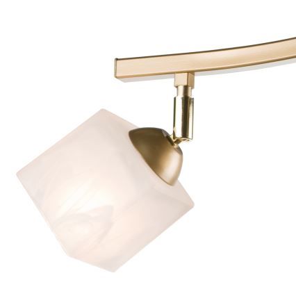 spotlámpa KLARA 3xE14/40W/230V arany