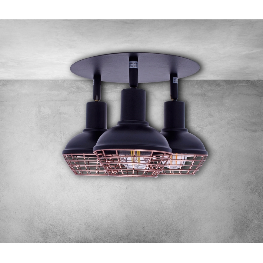 Spotlámpa LOGAN 3xE14/40W/230V