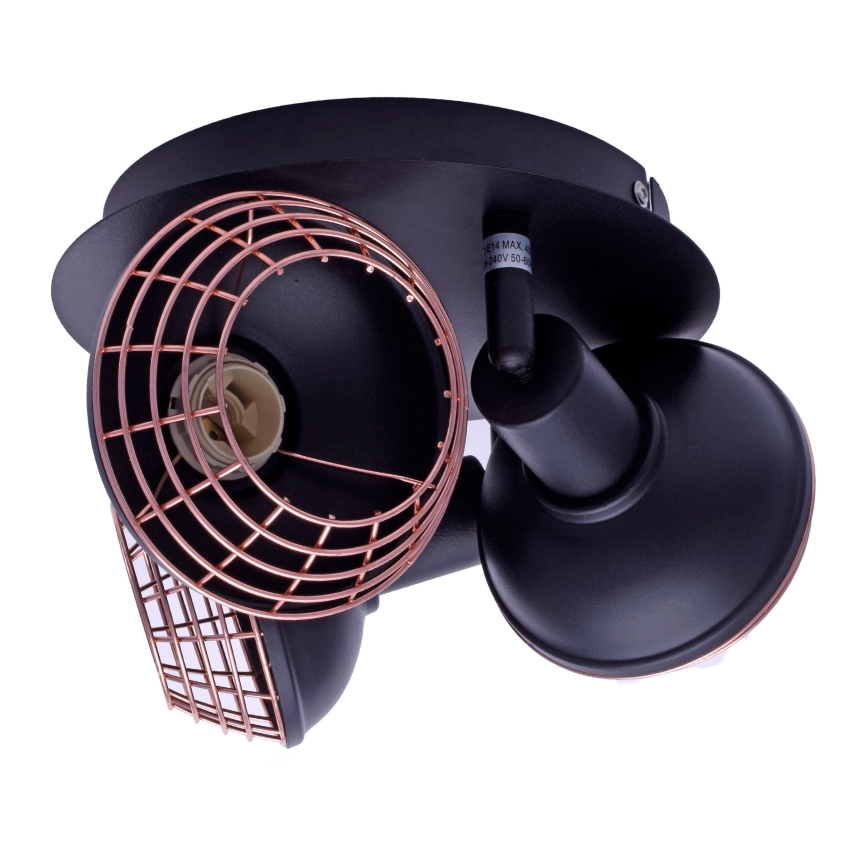 Spotlámpa LOGAN 3xE14/40W/230V