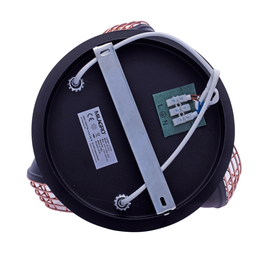 Spotlámpa LOGAN 3xE14/40W/230V