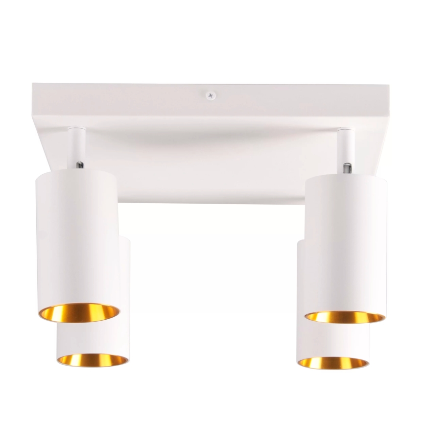 spotlámpa MARIBEL 4xGU10/10W/230V fehér