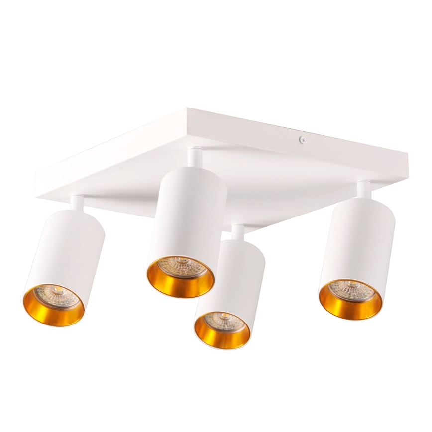 spotlámpa MARIBEL 4xGU10/10W/230V fehér