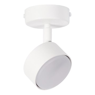 Spotlámpa NEMO 1xGX53/12W/230V fehér