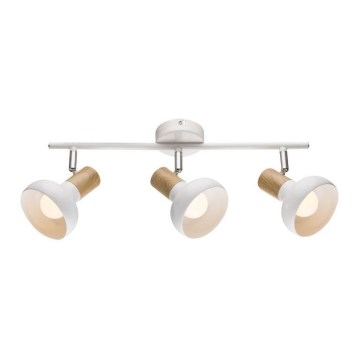 Spotlámpa PUERTO 3xE14/40W/230V