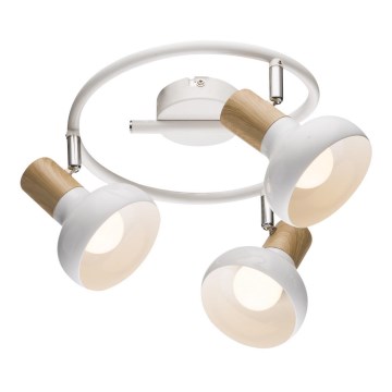 Spotlámpa PUERTO 3xE14/40W/230V