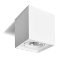 Spotlámpa QUANDO G53/50W/12V